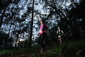 BIB: 
                            <button type="button" onclick="openModal(22480672)" class="btn btn-primary btn-sm float-right btn-popup" data-toggle="modal" data-target=".modal-high-quality">
                        <i class="fas fa-shopping-cart"></i> Add to Cart
                    </button>
                                            <button type="button" onclick="isThisMe(22480672, true)" class="btn btn-success btn-sm float-right btn-popup btn-isme hidden" data-toggle="tooltip" data-placement="bottom" title="นี่คือรูปของคุณใช่ไหม คลิกที่นี่เพื่อเอาเข้าอัลบั้ม">
                        <i class="fas fa-plus"></i> Add to album
                    </button>
                    <button type="button" onclick="isThisMe(22480672, false)" class="btn btn-warning btn-sm float-right btn-popup btn-isnotme hidden">
                        <i class="fas fa-ban"></i> Remove from album
                    </button>